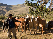 Argentina-Patagonia / Torres del Paine-Pioneers of Patagonia